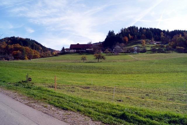 Baugrundstcke im Seltenacker sollen ab 2028 verkauft werden