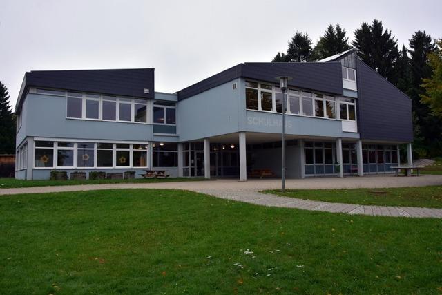 Schulauengelnde wird naturnah umgestaltet