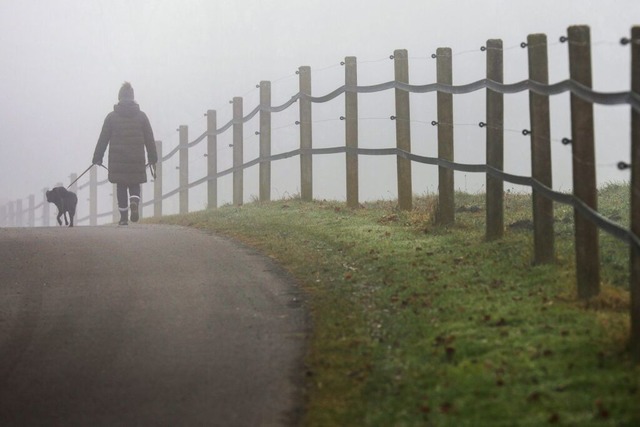 Wie man sieht, sieht man mancherorts nichts.  | Foto: Thomas Warnack (dpa)