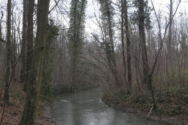 Skelettierter Leichnam in Wald bei Breisach gefunden