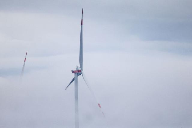 Welmlingen kritisiert Entscheidung zum Eichwald als Windvorranggebiet trotz Einwnden