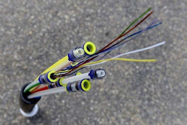 Freiburg-Ebnet erhlt 450.000 Euro Frdermittel fr Glasfaserausbau