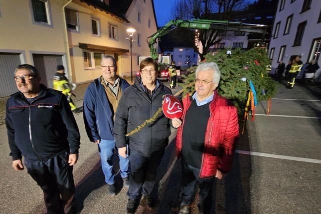 Traditionsgem erhielt Zells neue Brgermeisterin eine Tanne – mit kleinen Hindernissen