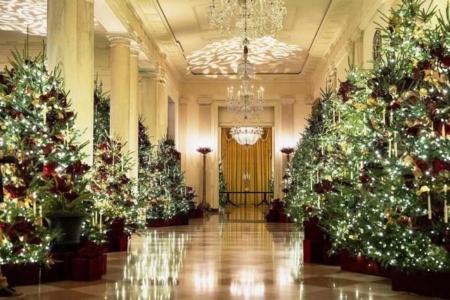 Ein ganzer Wald im Weien Haus