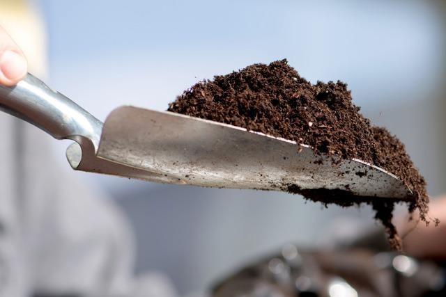 Humus-Wasser-Management in Offenburg gegen den Klimawandel