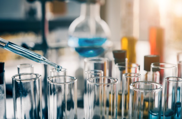 In den Basler Laboren wurde ein neues Knochenmarkmodell entwickelt.  | Foto: totojang1977 (stock.adobe.com)