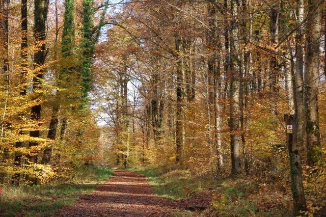 Extreme Wetterwechsel prgen Schwrstadt im Herbst