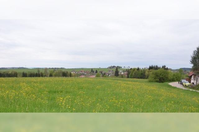 Der Gemeinderat Friedenweiler diskutiert die Anbindung des Baugebiets Gtle an die Kreisstrae