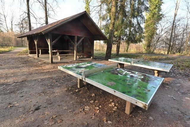 Denzlingen plant schrittweise Spielplatzneugestaltung trotz knapper Haushaltslage