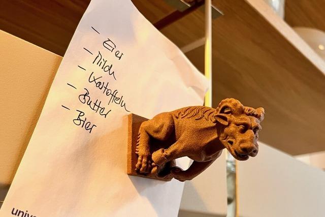 Forscher vermitteln Freiburger Stadtgeschichte – mit Mnster-Wasserspeiern fr den Khlschrank