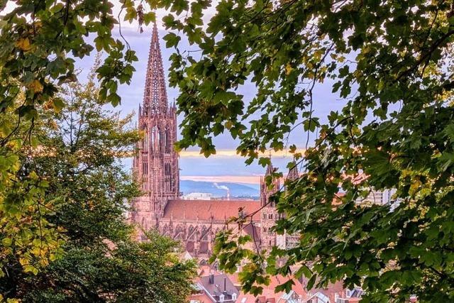 Theologin Barbara Winter-Riesterer: "Seelsorge soll im Mittelpunkt stehen"