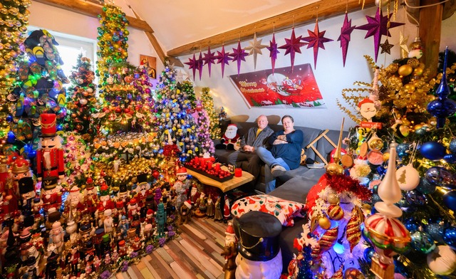 621 Weihnachtsb&auml;ume mit weit &uum...eromin als kunterbunte Weihnachtswelt.  | Foto: Julian Stratenschulte/dpa