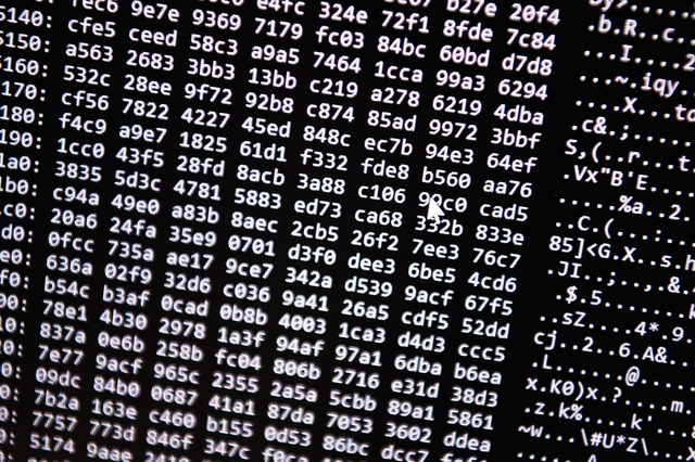 Die Ermittler vermuten eine hohe Dunke... Opfern des Cyberbetrugs. (Symbolbild)  | Foto: Nicolas Armer/dpa