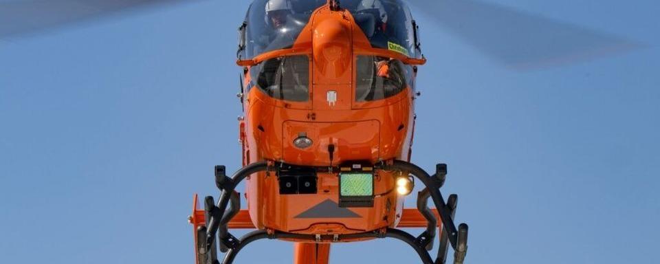 Baumstamm verletzt Forstarbeiter in Wasenweiler