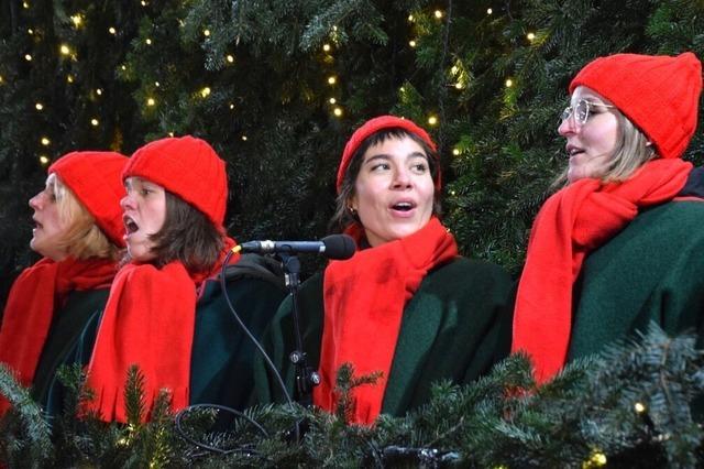 Alles, was man rund um den Singenden Weihnachtsbaum in Waldkirch wissen muss