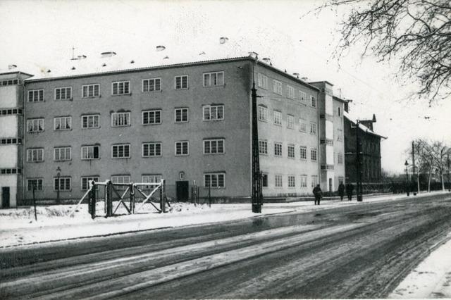 Huserblock der Siedlungsgesellschaft "Heimat" in Freiburg: Ein umstrittenes Stck Moderne