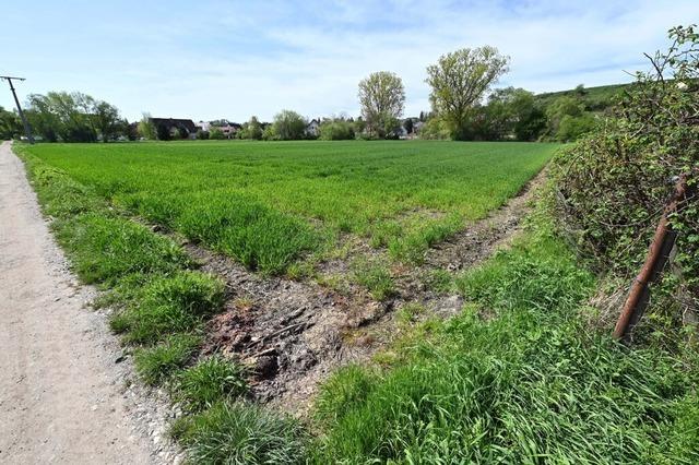 Fortschritte beim Baugebiet Niedermatten in Freiburg-Waltershofen