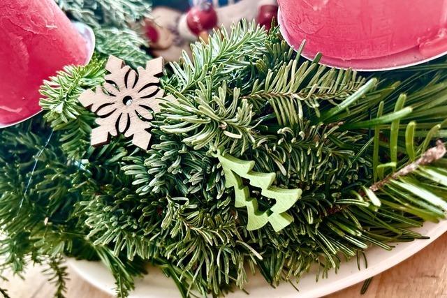 Kulinarisches aus Nadelbumen – Superfood aus dem Wald