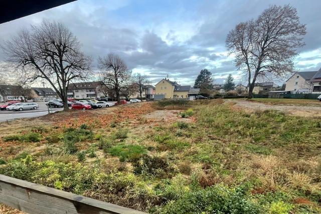 Das ist fr das Festhallengelnde in Kippenheim geplant