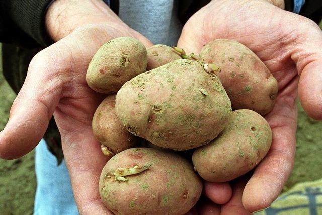 EU weicht Regeln fr Genpflanzen auf