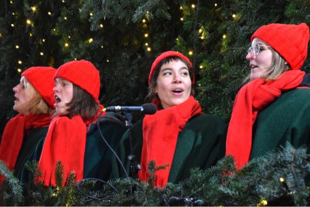 Alles, was man rund um den Singenden Weihnachtsbaum in Waldkirch wissen muss