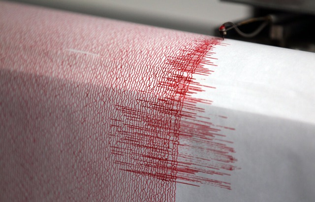 Ein Seismograph verzeichnet Ausschlge.  | Foto: Oliver Berg (dpa) 