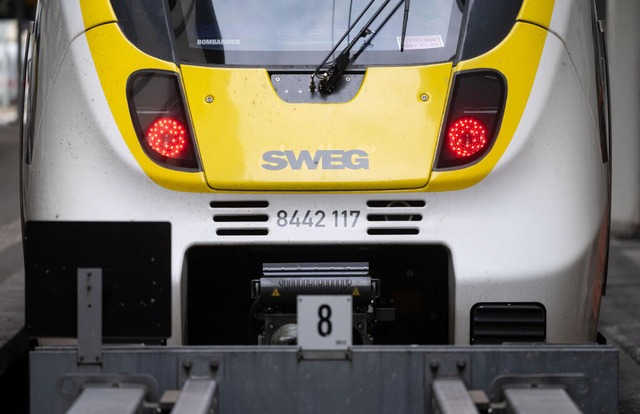 Zustzliche Zge zum Straburger Weihnachtsmarkt  | Foto: Marijan Murat (dpa)