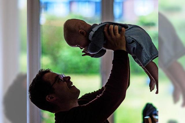 Die Gehirnstruktur durchluft fnf Phasen