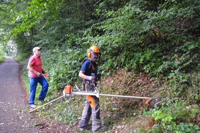 Freiwillige Waldarbeiter: Was Wegepaten in Mnstertal alles tun
