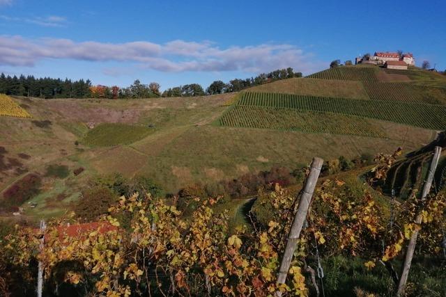 Die Wiege des "Klingelbergers", das Weingut Schloss Staufenberg in Durbach, ist Geschichte