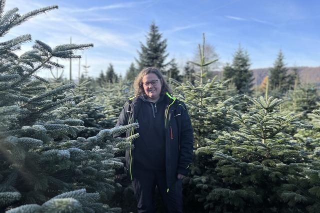 Wo Weihnachtsbume Wurzeln schlagen: Der Sattelhof in Schopfheim und seine Plantagen