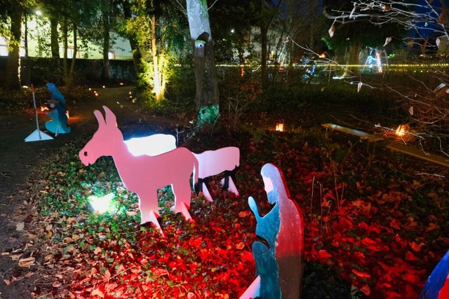 Die Krippe wurde von Bauhofleiter Armi...der der Kindertagessttte Am Forsthaus  | Foto: Birgit-Cathrin Duval