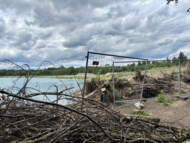 Am Rimsinger Baggersee wurde diesen So...des gerodet, um den See zu vergrern.  | Foto: Sophia Ungerland