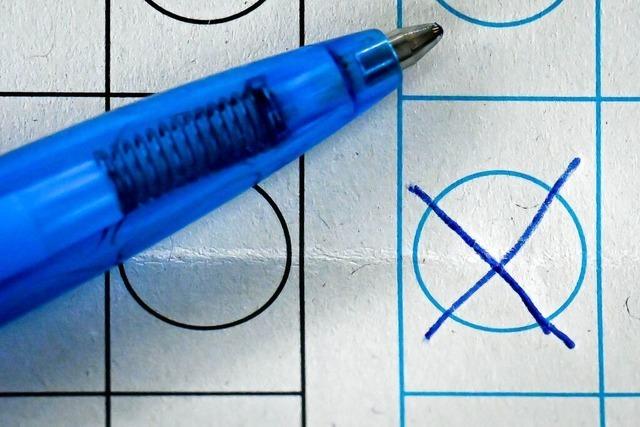 Rheinfelden hat ein neues Jugendparlament gewhlt