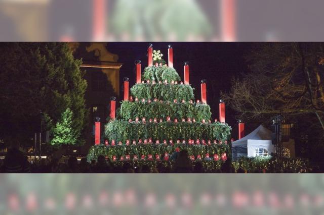 Der Baum singt wieder