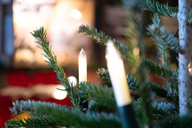 Die Weihnachtsbaum-Diebe werden von ei...eitsmitarbeiter entdeckt. (Symbolbild)  | Foto: Sebastian Kahnert/dpa