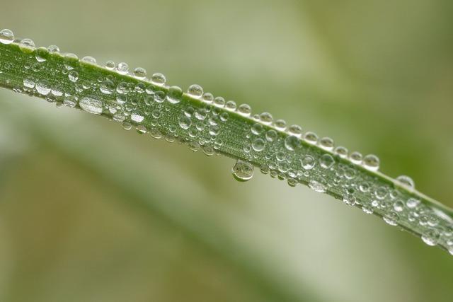 Regen und Wind zum Advent - ab Montag wird es milder