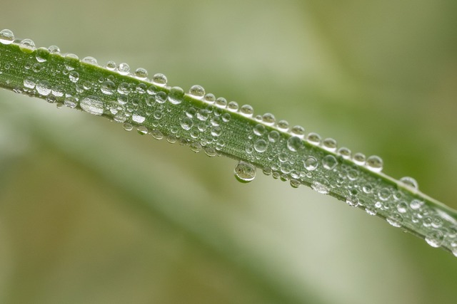 In Baden-W&uuml;rttemberg wird es am W...nde vor allem regnerisch. (Symbolbild)  | Foto: Silas Stein/dpa