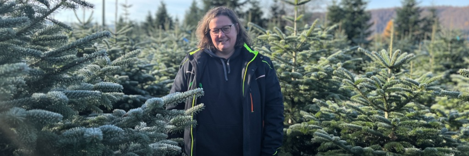 Der Sattelhof in Schopfheim ist seit 40 Jahren Heimat fr Weihnachtsbume