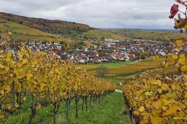 Gemeinderat Ebringen legt das Sanierungsgebiet Ortskern fest