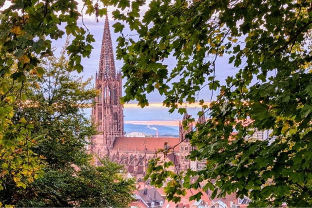 Theologin Barbara Winter-Riesterer: 