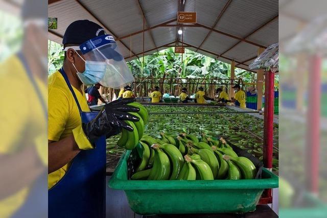 Zwischen Hoffnung und Pragmatismus