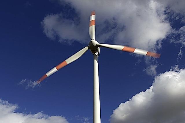 Windrder gefhrden den Regenwald nicht!