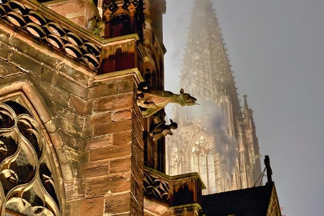 Bis zum letzten Hemd – wer hat das Freiburger Mnster finanziert?