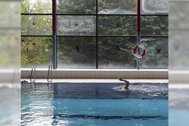 Schwimmkurse und Aqua-Fitness