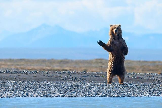 Sparen Sie 10 % beim Mundologia-Festival!