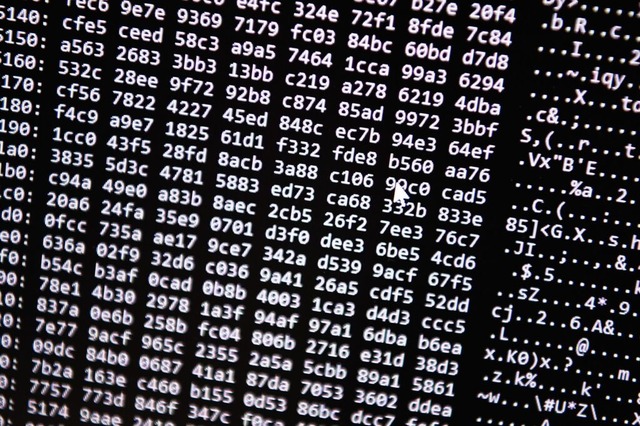 Ein Zahlencode luft in einer Zentrals... fr Cybercrime ber einen Bildschirm.  | Foto: Nicolas Armer (dpa)