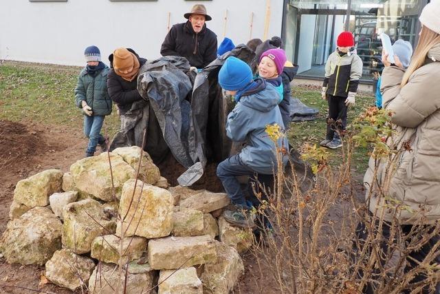 Kferkeller bringt Leben an die Schule – Kinder packen krftig beim Bauen mit an