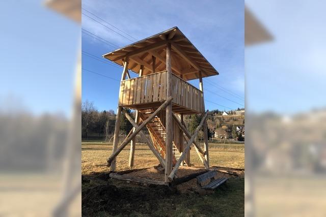 Ein neuer Blick auf die Landschaft in Feldberg bietet der Naturbeobachtungsturm
