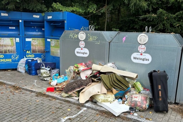 Mll rund um einen Container in Aarberg  | Foto: Eigenbetrieb Abfallwirtschaft